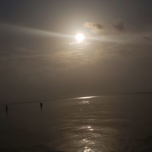 Meet your Posher, Ainad